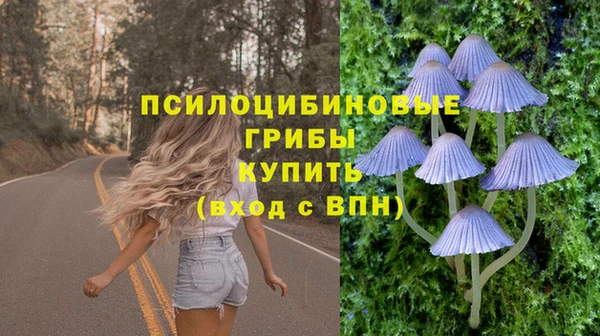 гашик Бородино