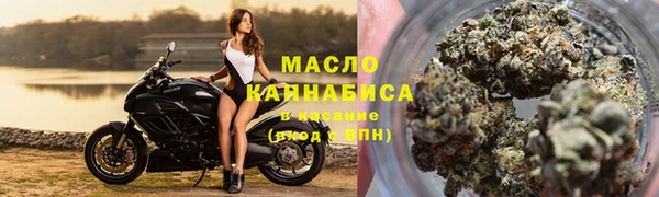 гашик Бородино