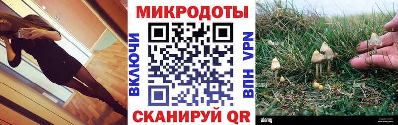 MEGA ссылка  Нюрба  Псилоцибиновые грибы Psilocybine cubensis 
